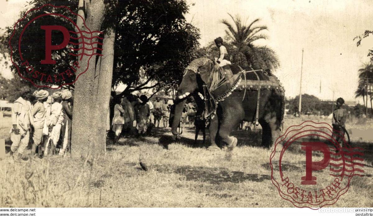 Fotograf&iacute;a antigua: INDONESIA ELEPHANT PREFORMENDE ELEPHANTE 14 *8 cm Fonds Victor FORBIN 1864-1947
