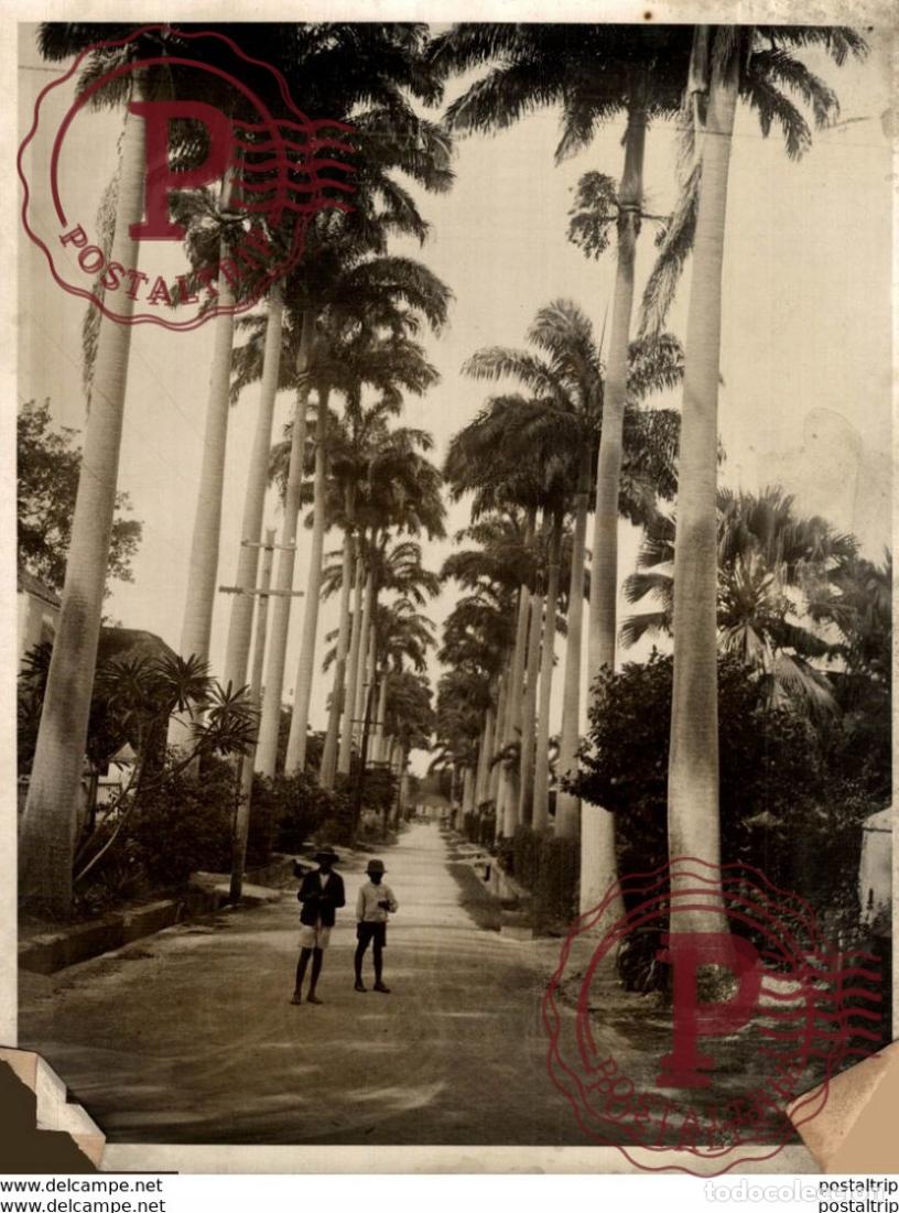 Fotografia antiga: 20*14 cm Fonds Victor FORBIN 1864-1947