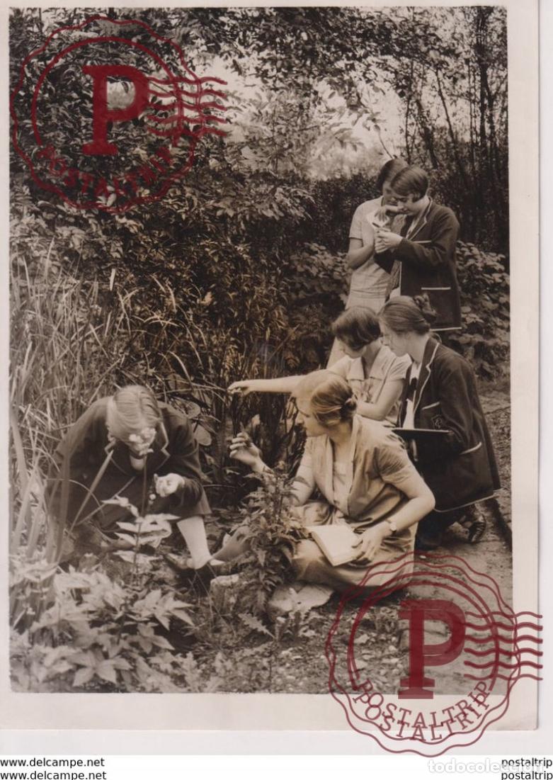 Fotograf&iacute;a antigua: REVEALING NATURES SECRETS SARGENT LABORATORY BEDFORD COLLAGE 20*15CM Fonds Victor FORBIN 1864-1947