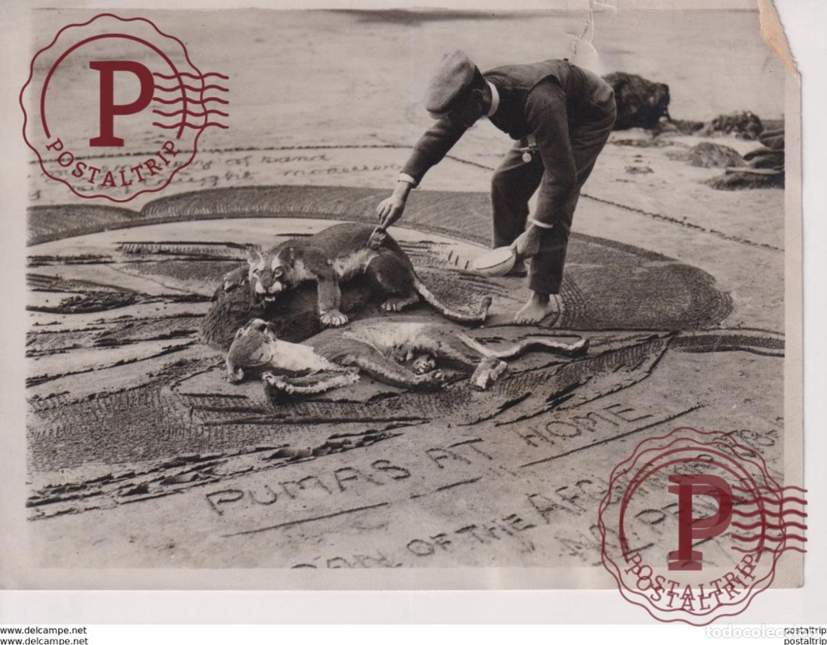 Photographie ancienne: TORQUAT EX SOLDIER SAND MODELLER TEAR LEFT UPPER CORNER SEE SCAN 20*15CM Fonds Victor FORBIN 1864-1