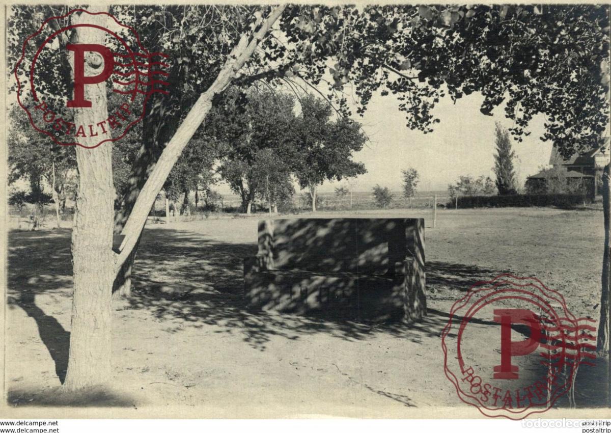 Antique Photography: UNIVERSITY OF NEW MEXICO 18*12CM Fonds Victor FORBIN 1864-1947
