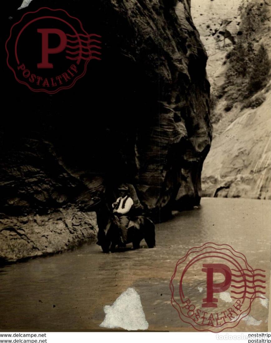 Antique Photography: UTAH CANYON DE ZION USA 15*12CM Fonds Victor FORBIN 1864-1947