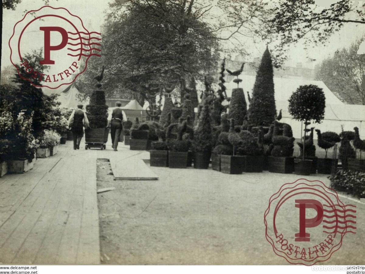 Antique Photography: ROYAL HORTICULTURAL SOCIETY INNER TEMPLE GARDENS 16*12CM Fonds Victor FORBIN 1864-1947