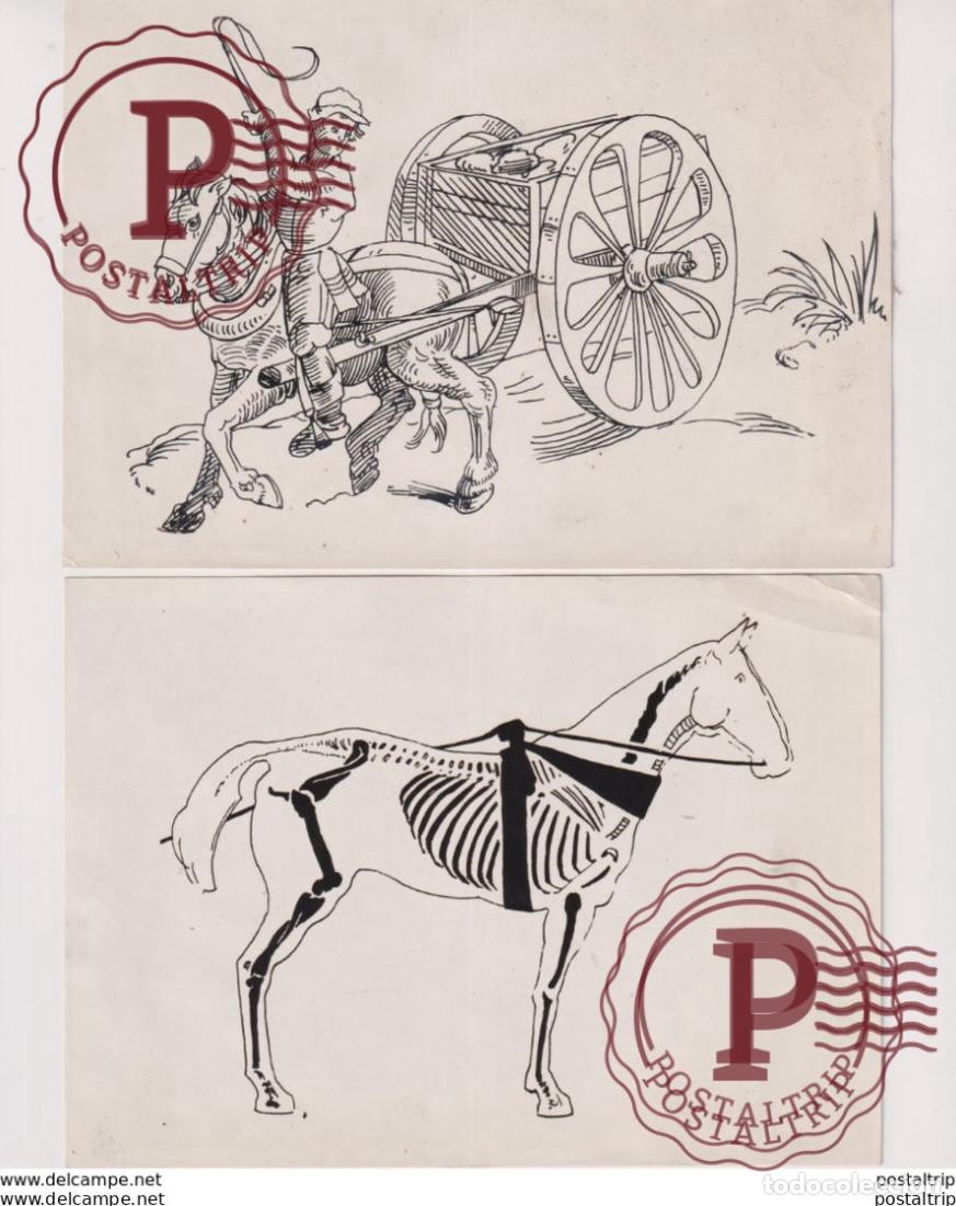 Fotograf&iacute;a antigua: 2 PHOTOS 18*12CM Fonds Victor FORBIN 1864-1947