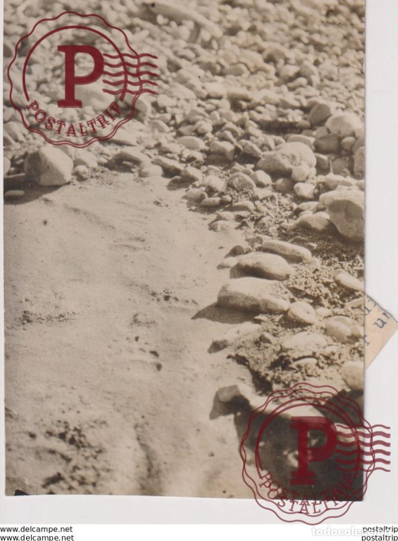 Fotograf&iacute;a antigua: GRISLEY FOOTPRINT OURS BEARS OSOS BEREN 11*8CM Fonds Victor FORBIN 1864-1947