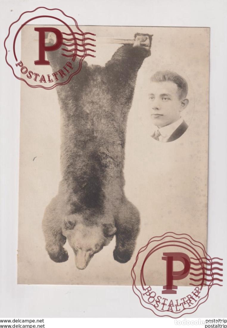 Fotograf&iacute;a antigua: HUNTING MOUNTAINS ALASKA SEATTLE OURS BEARS OSOS BEREN 24*17CM Fonds Victor FORBIN 1864-1947