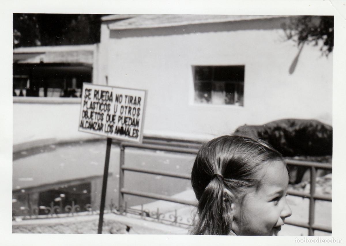 Fotograf&iacute;a antigua: 2 fotos. Ni&ntilde;os en un parque zool&oacute;gico, zoo. No tirar pl&aacute;sticos a los animales. A&ntilde;os 60 pc