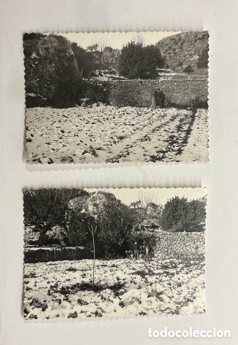 Fotograf&iacute;a antigua: BU&Ntilde;OL, Valencia (2) fotograf&iacute;as.. el Campo tras una gran nevada.. (a.1963)