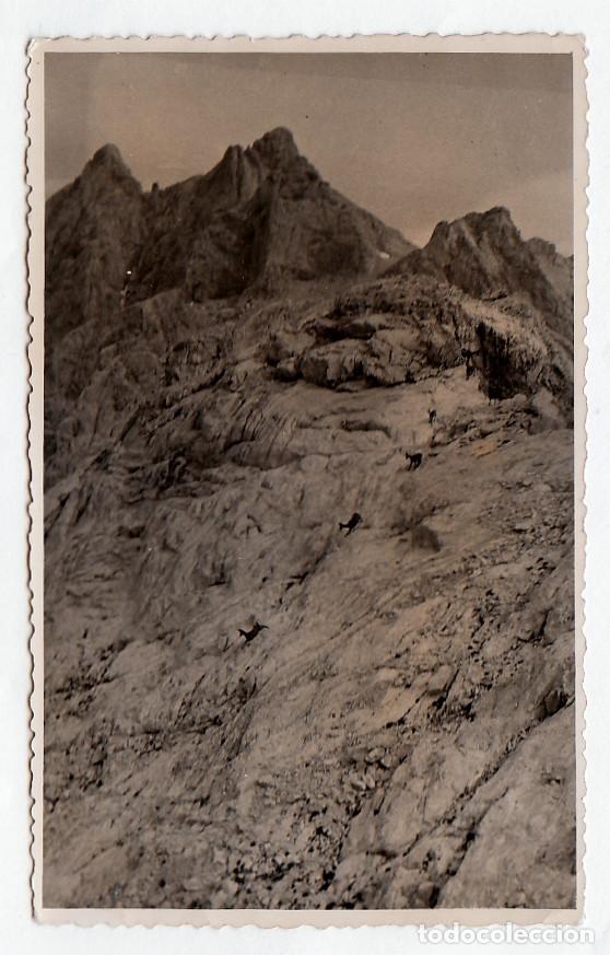 Fotograf&iacute;a antigua: Pico de los Cabrones desde el Never&oacute;n de Urriello y el Torrecerredo, Urrieles Picos de Europa 50s pc