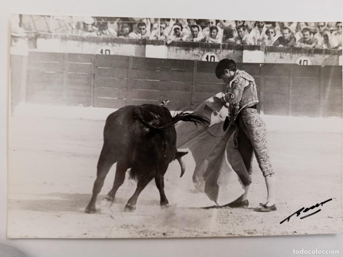 Fotograf&iacute;a antigua: FOTO DE CORRIDA DE TOROS : TORERO EN PLENA FAENA Y TORO . DE BENET ( FIRMADA )... 12 X 18 CM