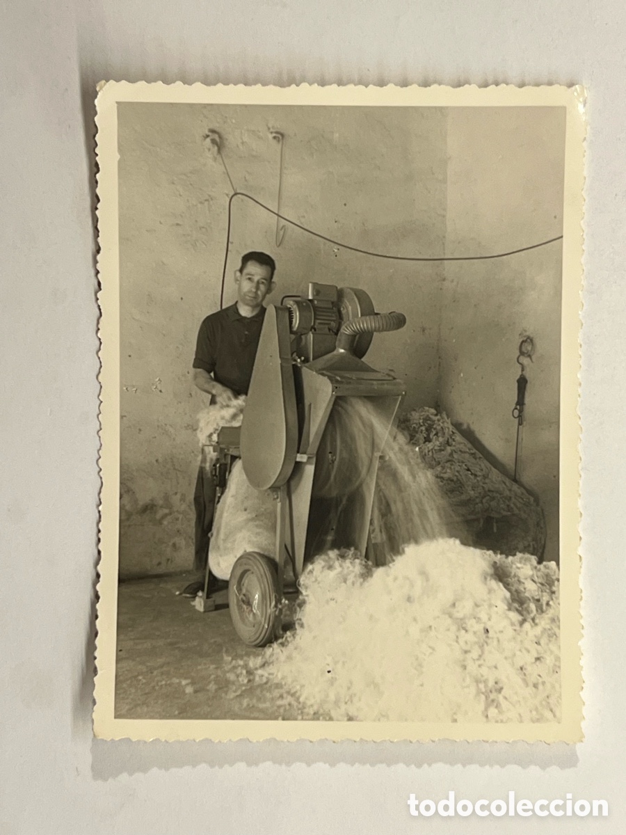 Fotograf&iacute;a antigua: UTRILLAS (Teruel) Fotograf&iacute;a viejos oficios. cardadora de lana de oveja.. (h.1960?)