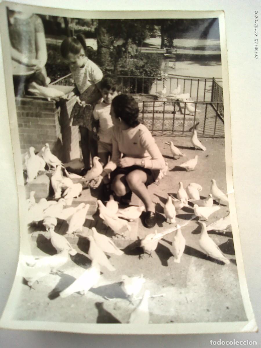 Alte Fotografie: FOTO DE MUJER Y NI&Ntilde;OS EN LA PLAZA DE LAS PALOMAS