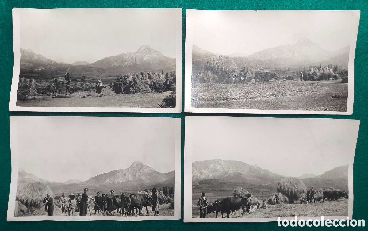 Fotografia antiga: CATALUNYA LUGAR SIN IDENTIFICAR ESCENA AGRICOLA FOTOGRAF&Iacute;A ANIMADA LOTE 4 C. 1920