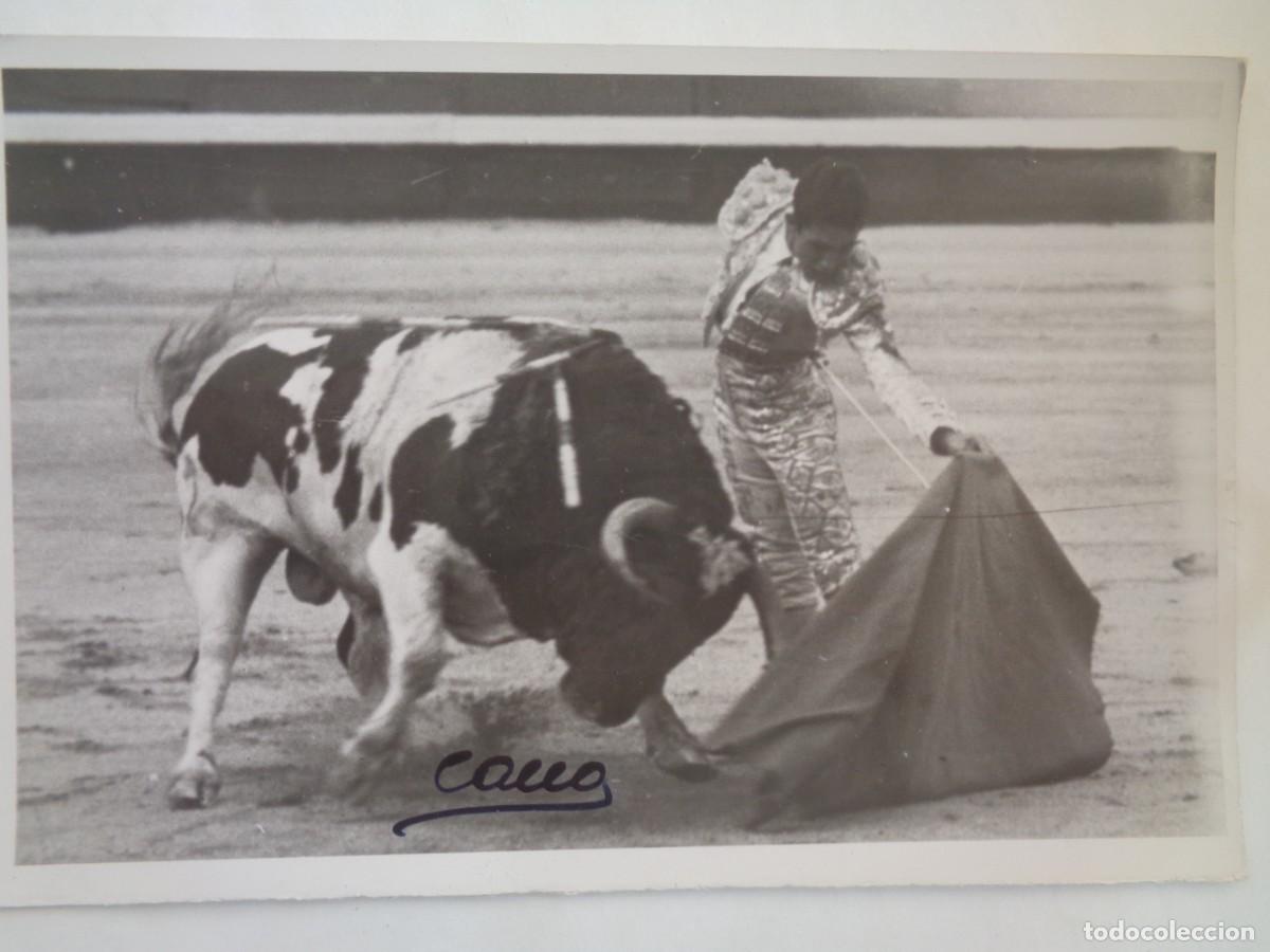 Fotograf&iacute;a antigua: FOTO DE CORRIDA DE TOROS : TORERO ( CREO QUE PACO CAMINO ) Y TORO. ...... 12 X 18 CM