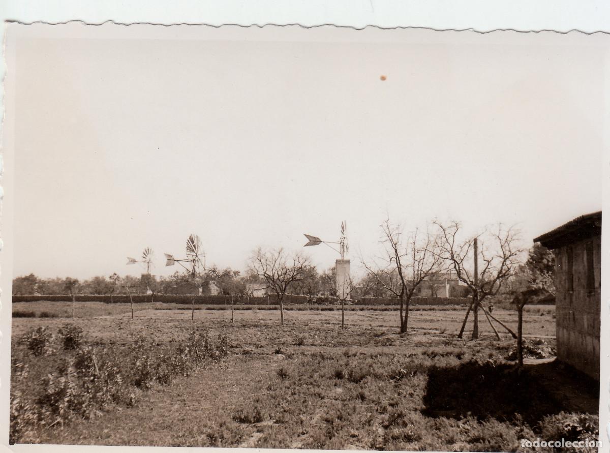 Fotograf&iacute;a antigua: Paisaje. Molinos de viento en Mallorca. A&ntilde;os 50 pc