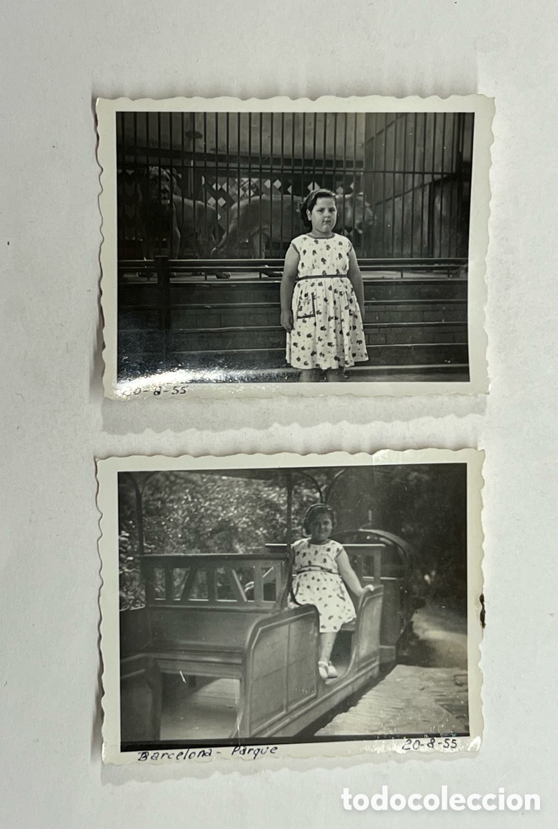 Antique Photography: BARCELONA (2) Fotograf&iacute;as en el zoo Parque.. junto al le&oacute;n enjaulado.. (a.1955) Medidas: 5 x 6,5 cm