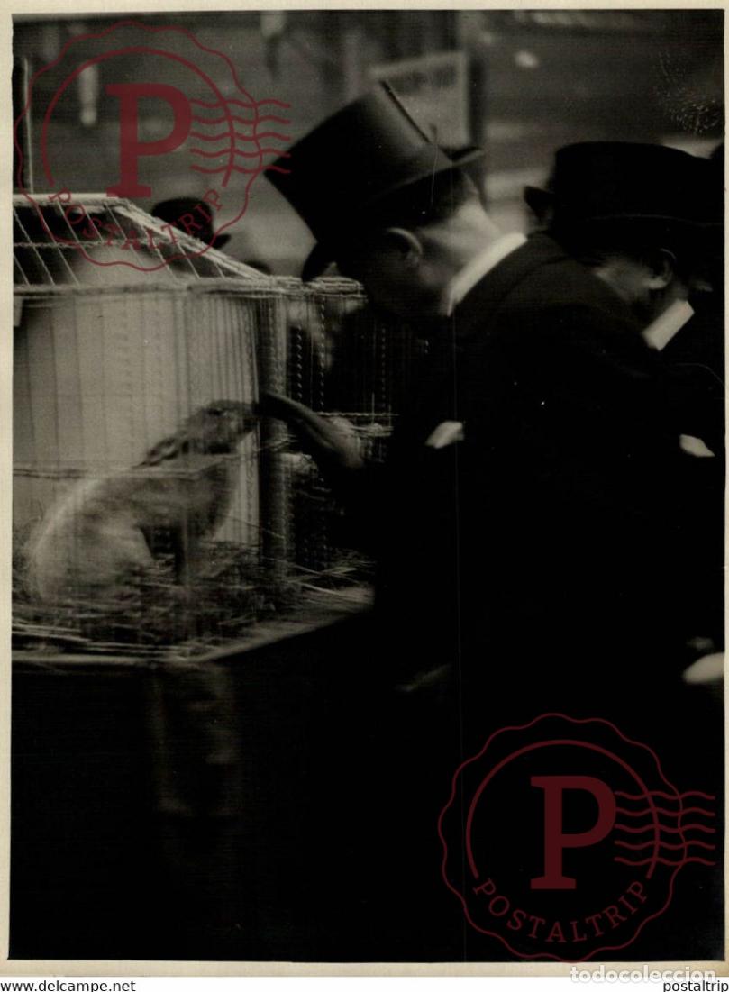 Fotografia antiga: INAUGURATION EXPOSITION DAVICULTURE 18*13CM Photo Meurisse Paris France collectionmeurisse