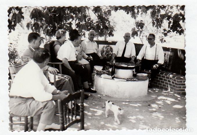 Fotograf&iacute;a antigua: Graciosa foto. Gato, gatito rondando la paella. A&ntilde;os 50. pc