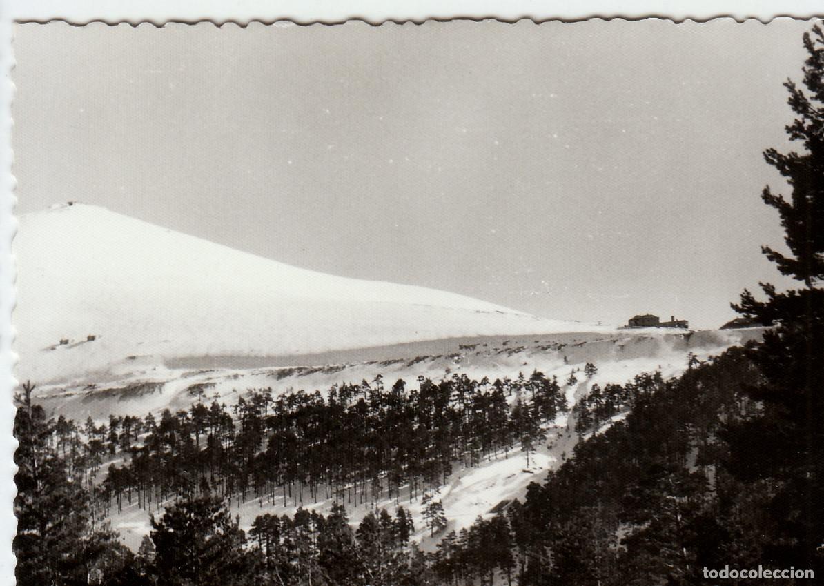 Fotograf&iacute;a antigua: Paisaje. Navacerrada, Sierra de Guadarrama, Madrid. A&ntilde;os 60. pc