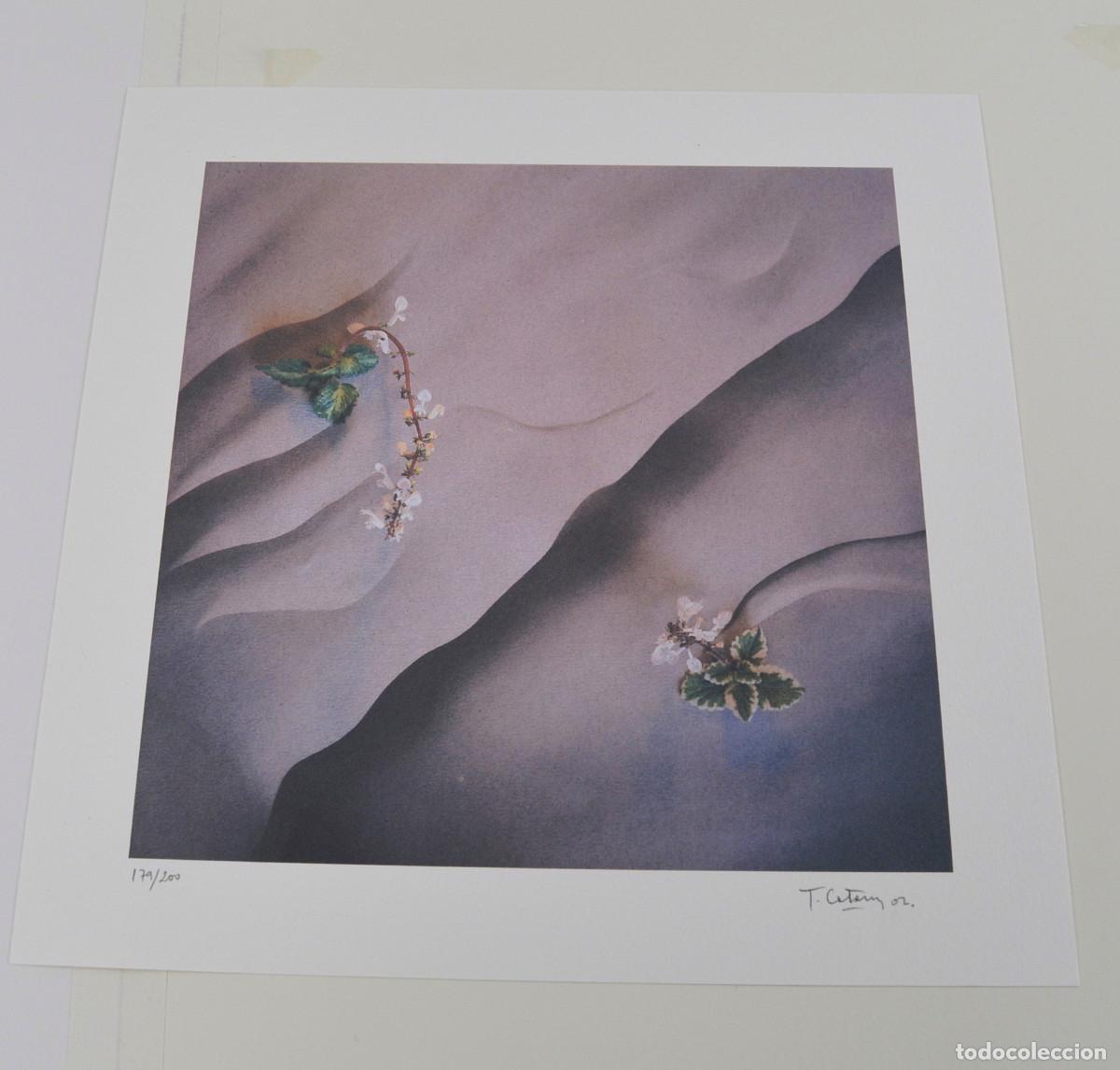 Fotograf&iacute;a antigua: TONI CATANY - HOMENATGE A GAUD&Iacute;, FOTOGRAF&Iacute;A INKJET NUMERADA. CARPETA 43X52CM.