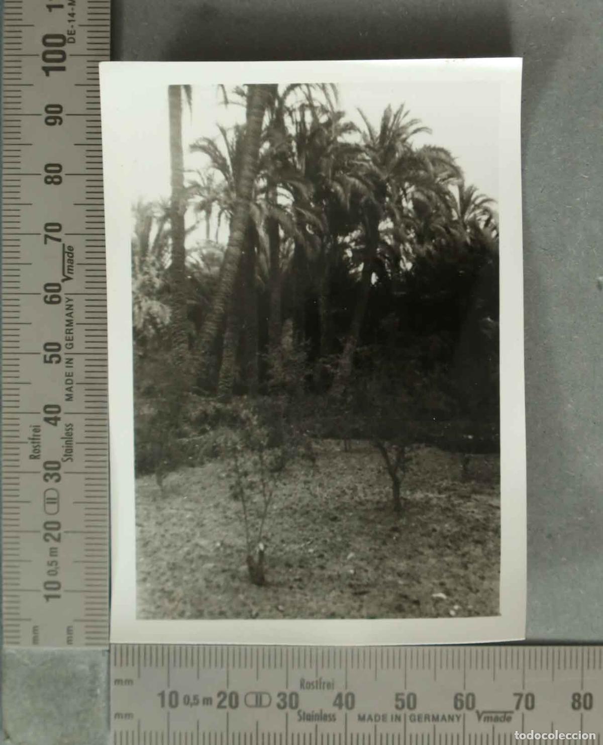 Photographie ancienne: FOTOGRAFIA. HUERTO .