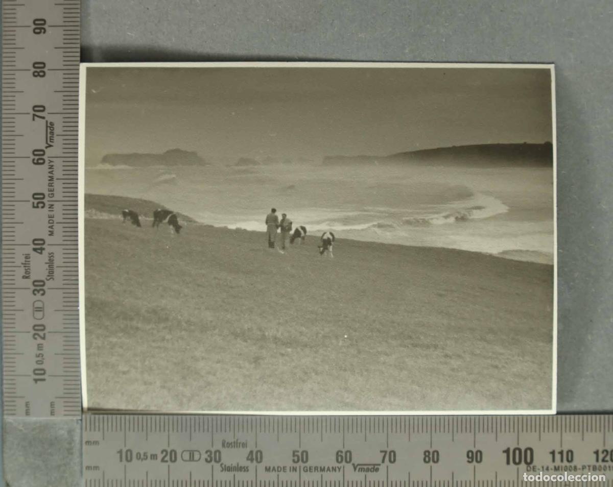 Fotograf&iacute;a antigua: FOTOGRAFIA. VISTA DE SUANCES. PASTORES. HACIA 1930
