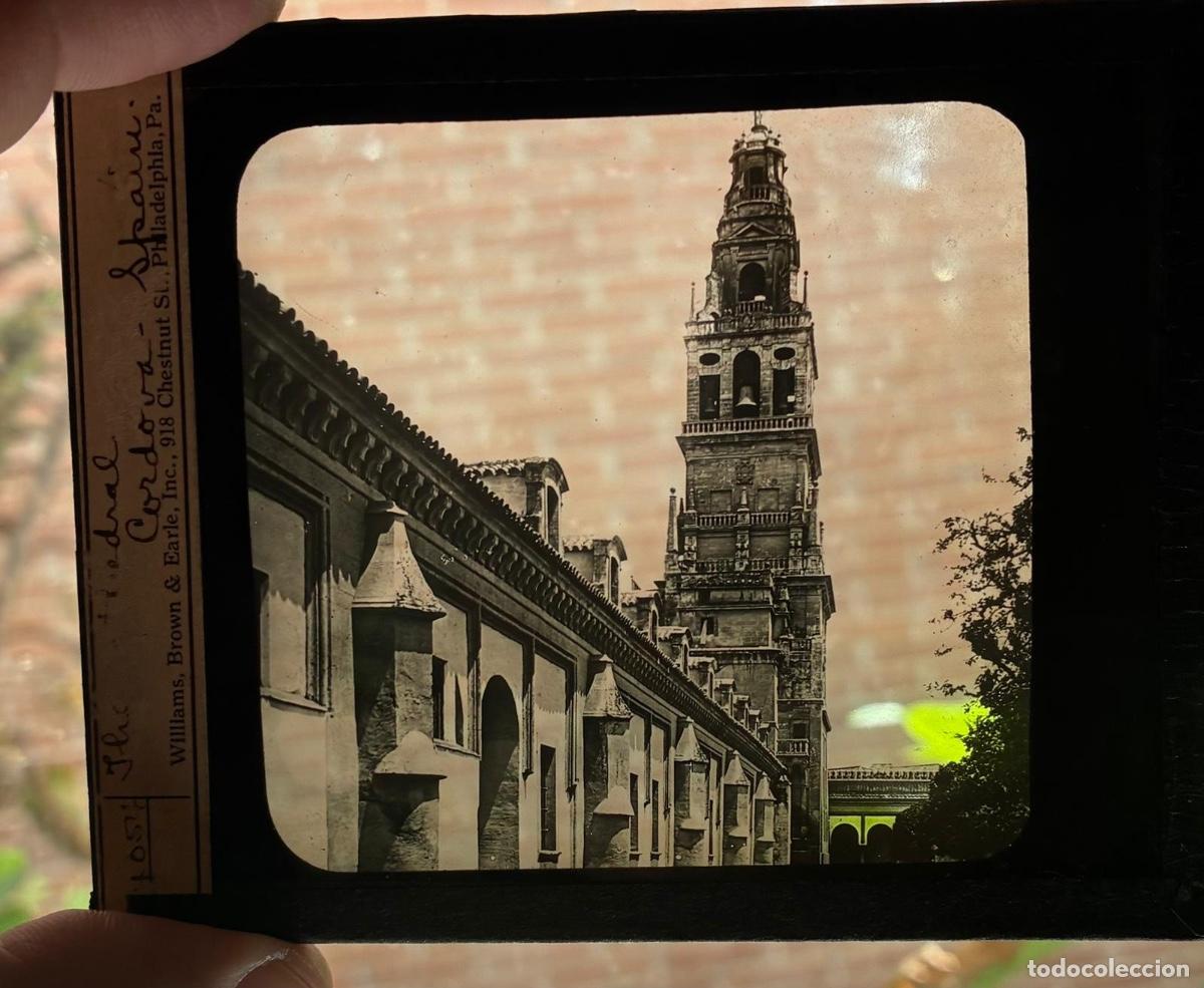 Fotografia antica: LINTERNA MAGICA. C&Oacute;RDOBA. CATEDRAL ASCENSION-