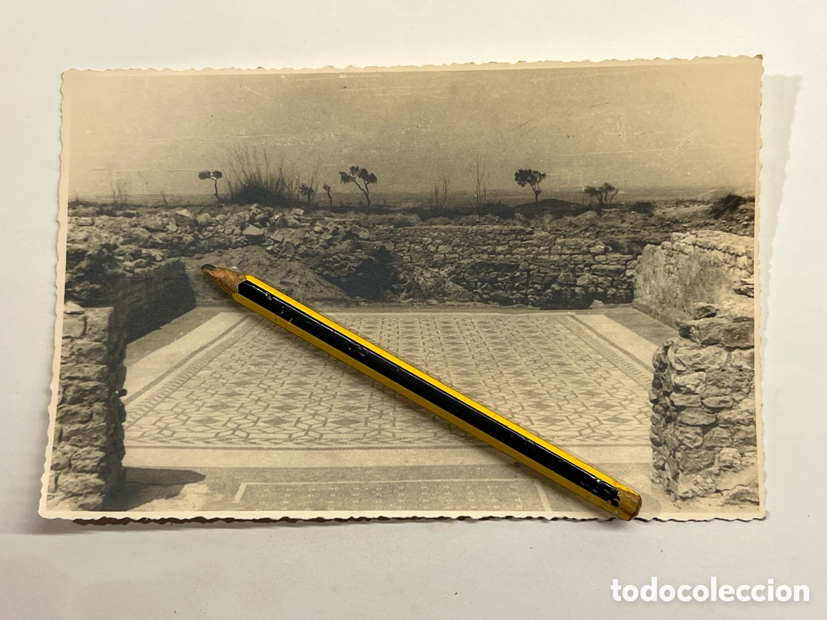 Fotografia antica: RUINAS DE AMPURIAS (Gerona) MOSAICO. Excursi&oacute;n Escuela Arqueol&oacute;gos de Valenciana (a.1944)