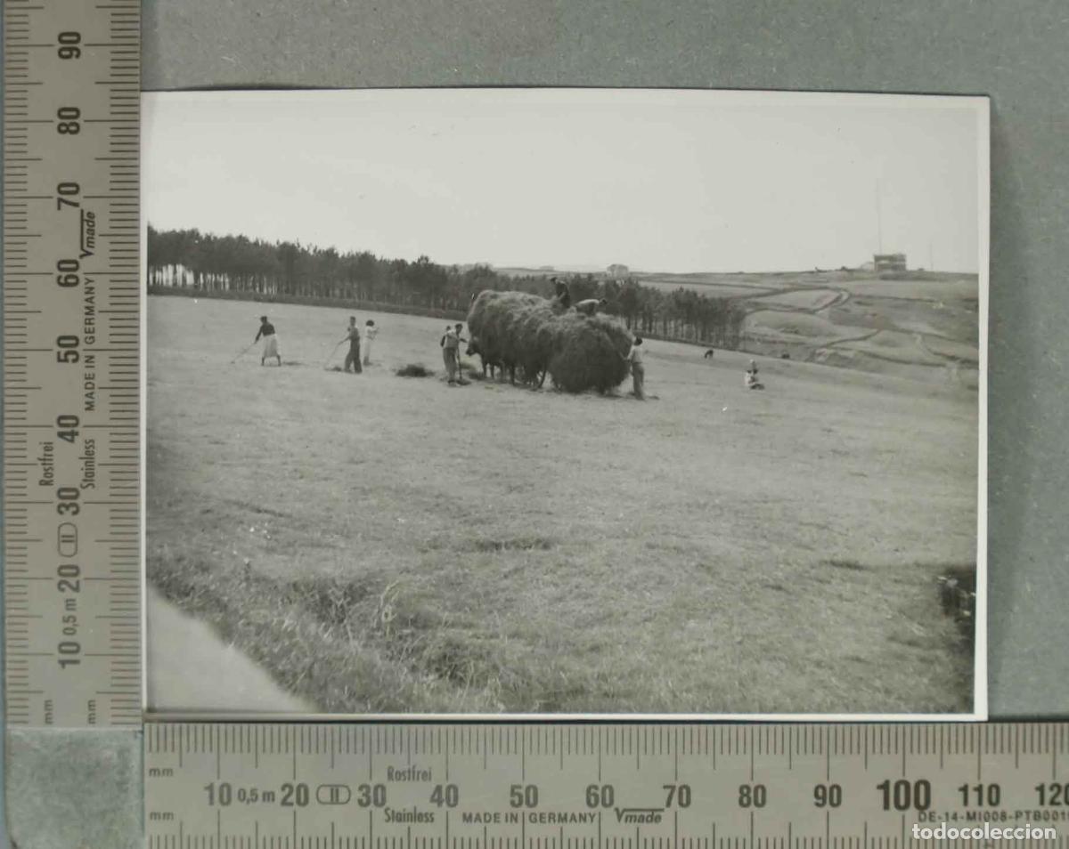 Fotografia antiga: FOTOGRAFIA. CARRO DE BUEYES CARGADO DE PAGA. SANTANDER. HACIA 1940