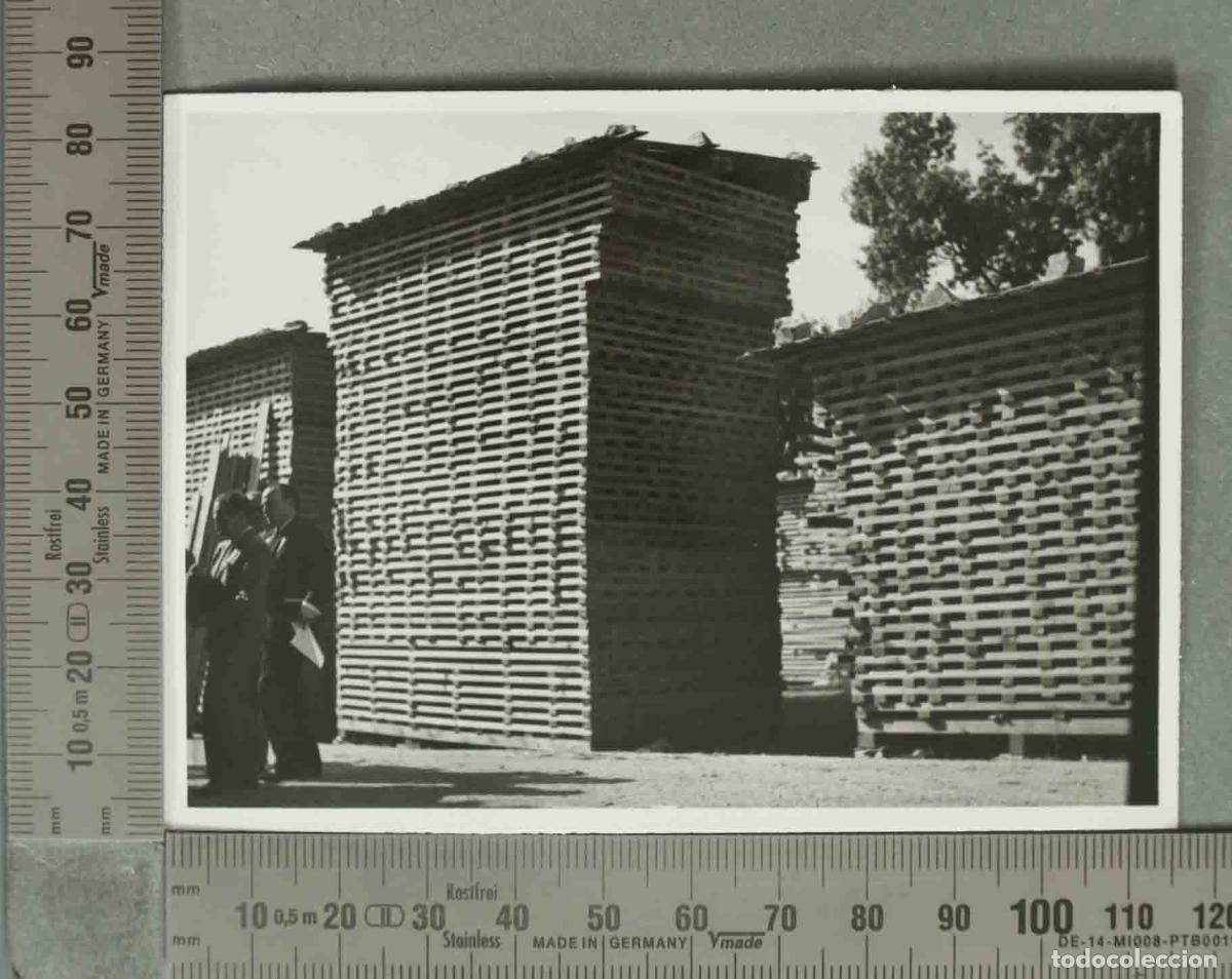 Fotograf&iacute;a antigua: FOTOGRAFIA. Pilas de madera sec&aacute;ndose - VALSAIN 14 SEPT 1940