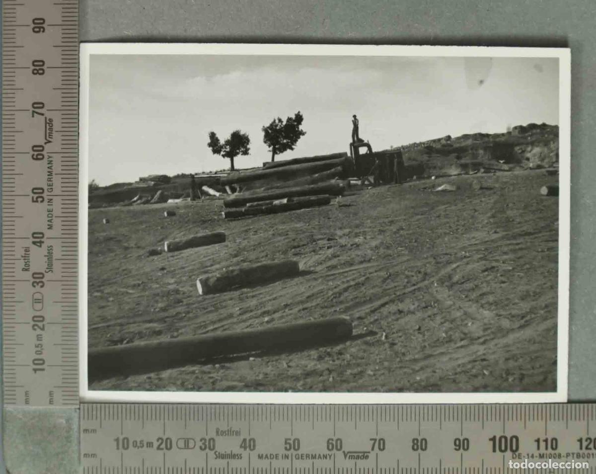 Fotograf&iacute;a antigua: FOTOGRAFIA. TALA DE MADERA. VALSAIN 14 SEPT 1940