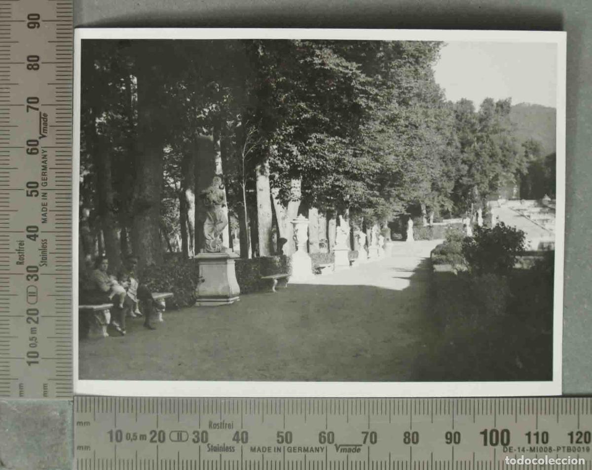 Photographie ancienne: FOTOGRAFIA. JARDINES DE LA GRANJA HACIA 1940