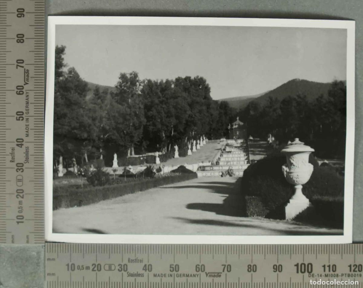 Fotograf&iacute;a antigua: FOTOGRAFIA. JARDINES DE LA GRANJA HACIA 1940