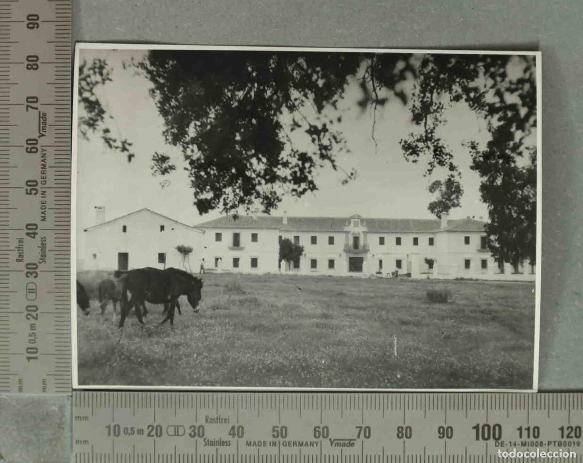 Fotograf&iacute;a antigua: FOTOGRAFIA. VISTA GENERAL CORTIJO . HACIA 1940 CLAVERIA