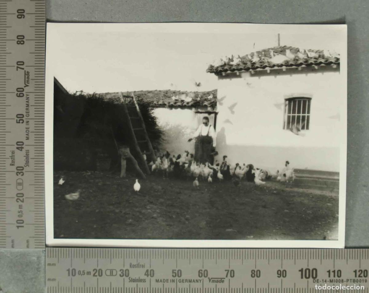 Fotograf&iacute;a antigua: FOTOGRAFIA. HOMBRE CON GALLINAS. LA MATA DEL MORAL HACIA 1940