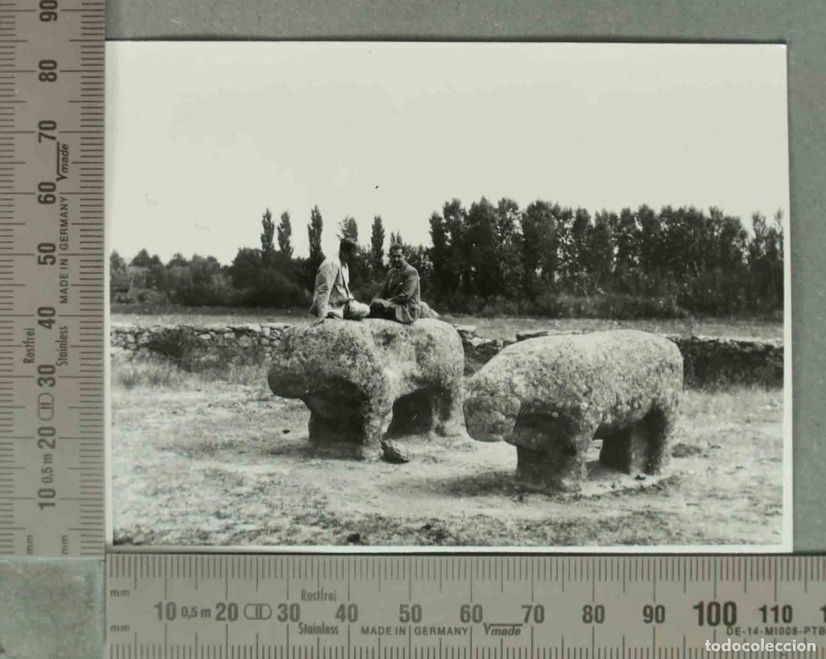 Fotograf&iacute;a antigua: FOTOGRAFIA. Los Toros de Guisando - &Aacute;vila HACIA 1940