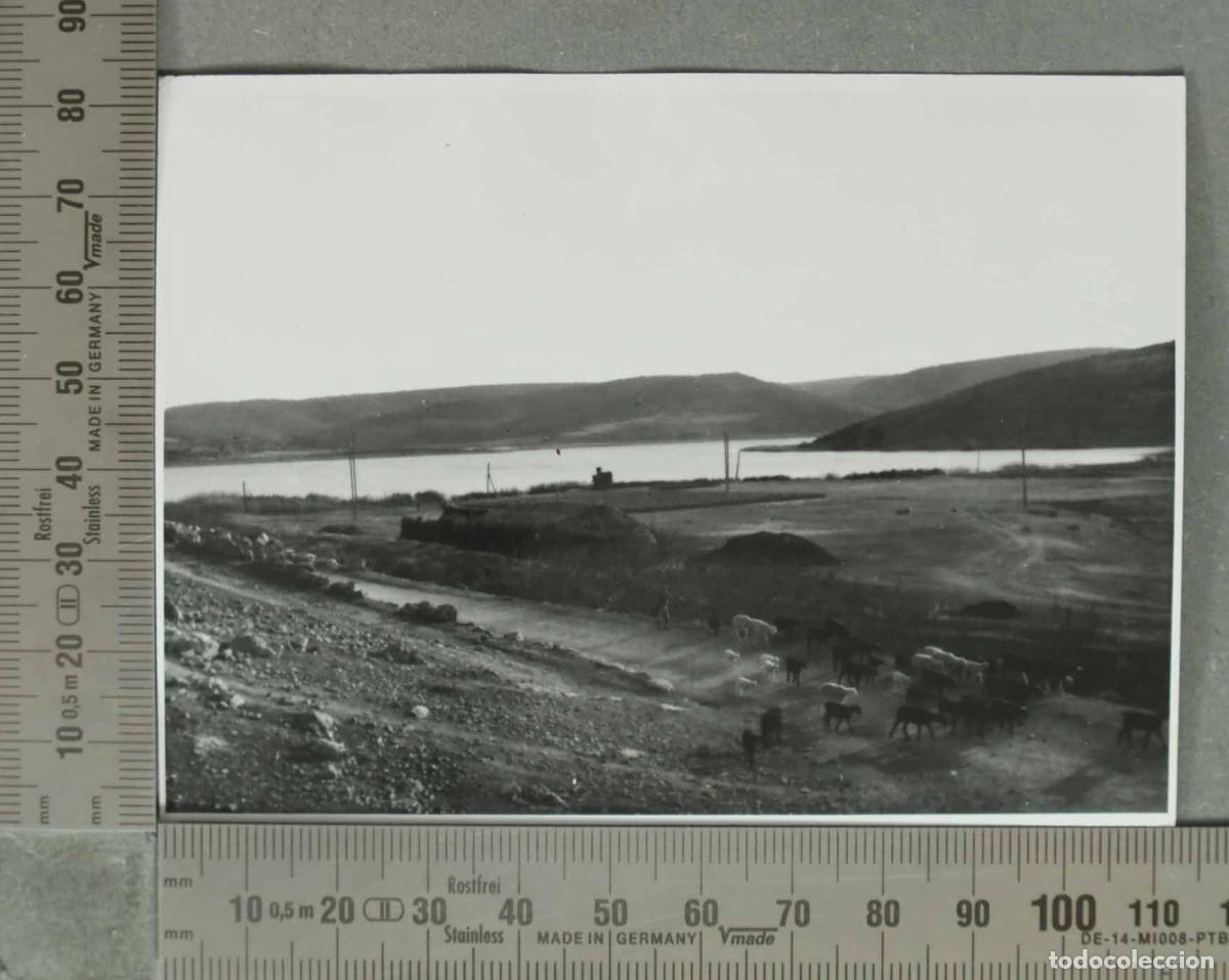 Fotograf&iacute;a antigua: FOTOGRAFIA. VISTA CAMPO GANADO RUIDERA HACIA 1940