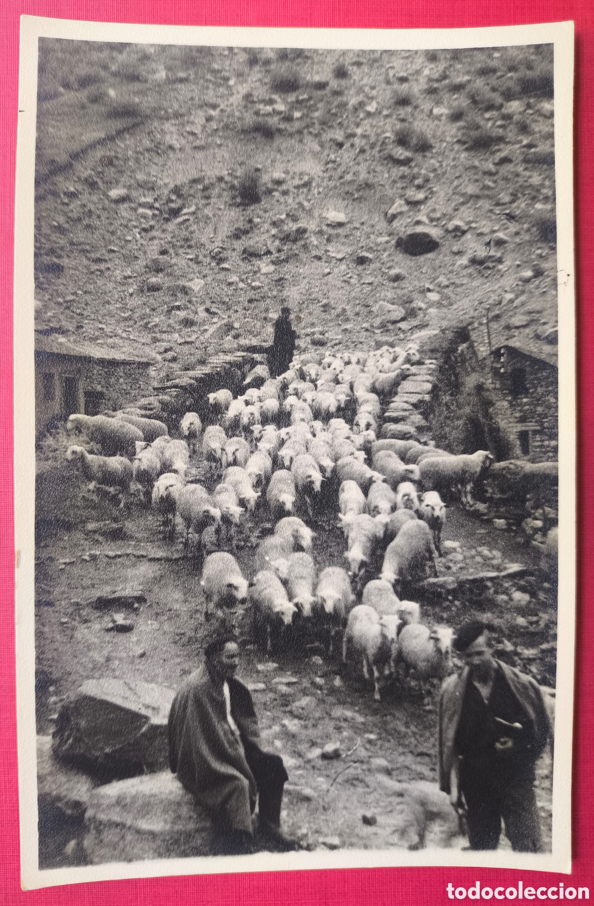 Fotograf&iacute;a antigua: ESPOT PONT DE LA CAPELLA RAMAT D'OVELLES FOTOGRAF&Iacute;A ANIMADA PIRINEU LLEIDA 1953