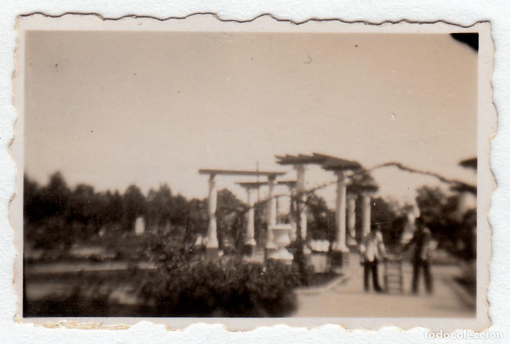 Fotograf&iacute;a antigua: Peque&ntilde;&iacute;sima foto. Los Viveros de Valencia. Rosaleda. A&ntilde;os 40 pc