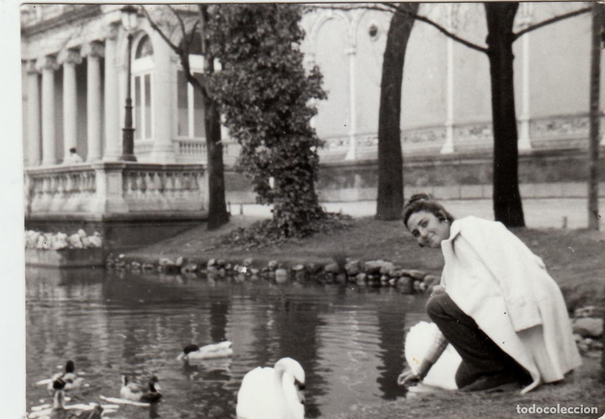 Fotograf&iacute;a antigua: Dama dando de comer a las aves en el Palacio de Cristal del Retiro, Madrid. A&ntilde;os 60 pc