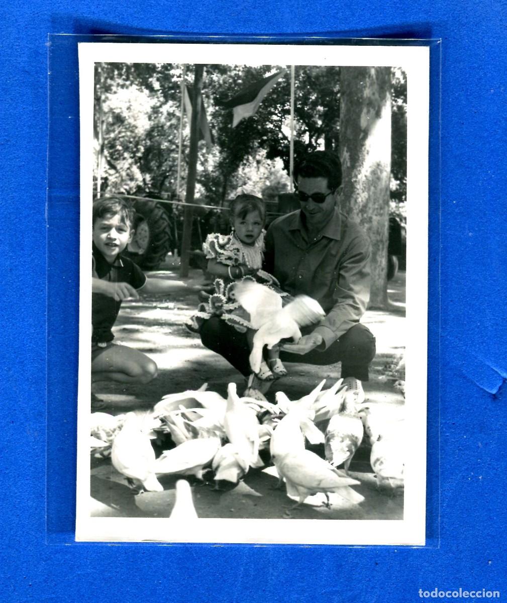 Fotografia antiga: ANTIGUA FOTOGRAFIA SEVILLA