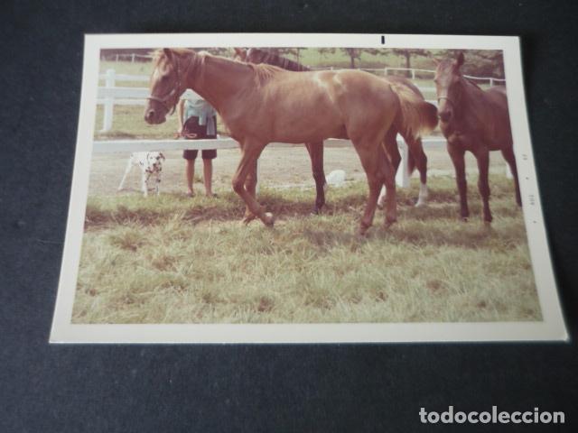 Fotografia antica: SAN SEBASTIAN HIPODROMO HIPICA LASARTE FOTOGRAFIA 9 X 13 CM