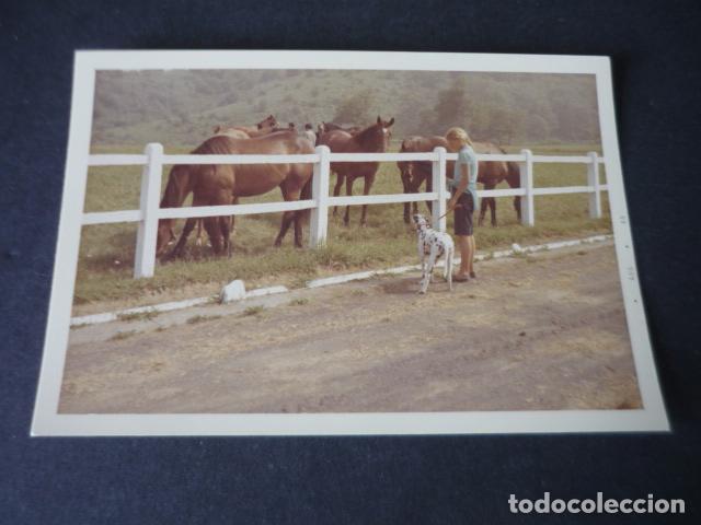 Photographie ancienne: SAN SEBASTIAN HIPODROMO HIPICA LASARTE FOTOGRAFIA 9 X 13 CM