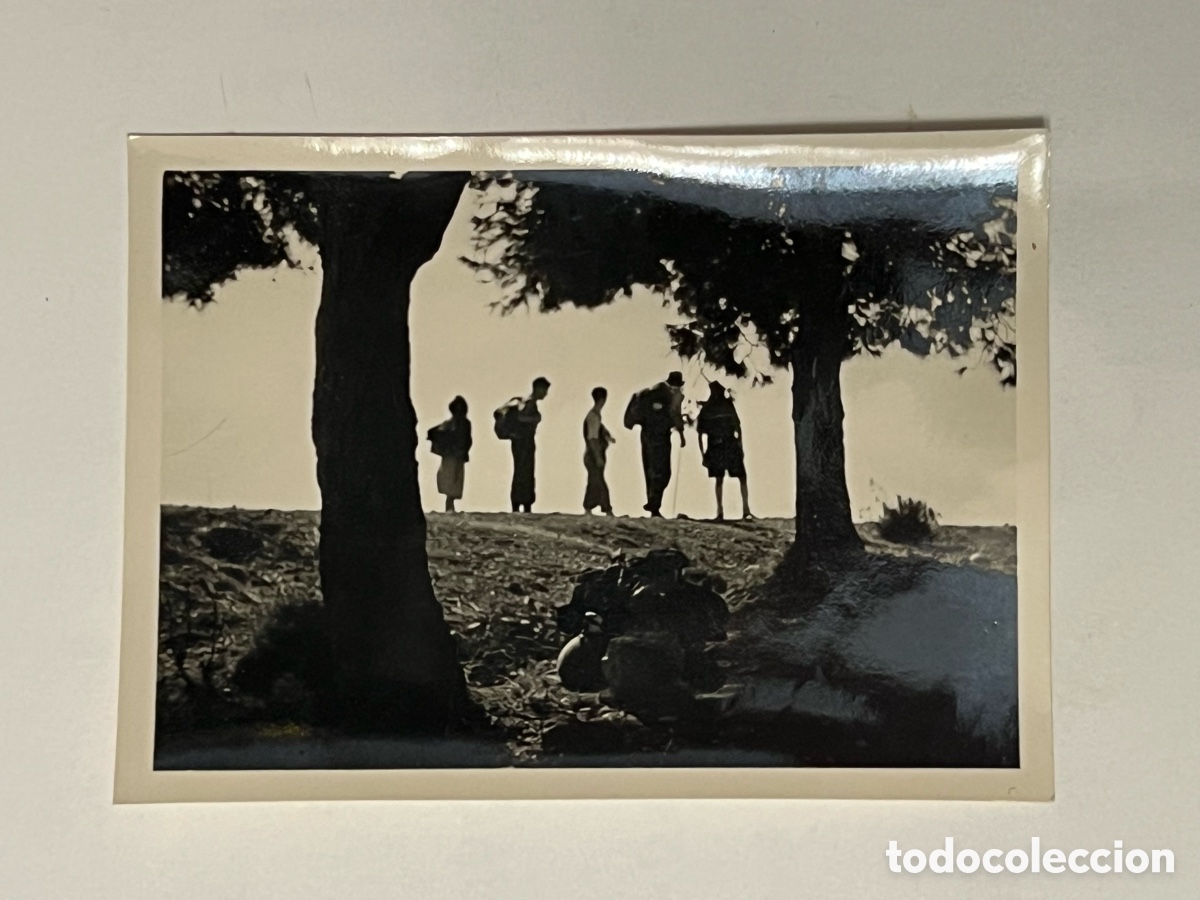 Fotografia antiga: GARBI, Valencia.. Fotograf&iacute;a Carretera de Barraix.. Primavera de 1952, Medidas: 6 x 8,5 cm