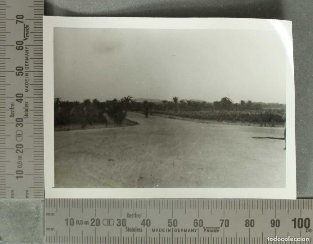 Fotograf&iacute;a antigua: FOTOGRAFIA. PESCADORES IFACH? HACIA 1950
