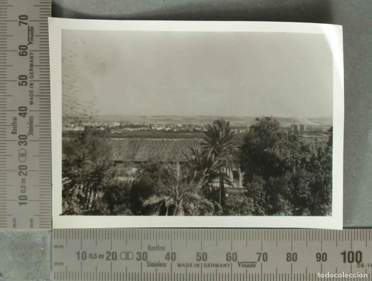 Fotograf&iacute;a antigua: FOTOGRAFIA. VISTA Paisaje con palmera