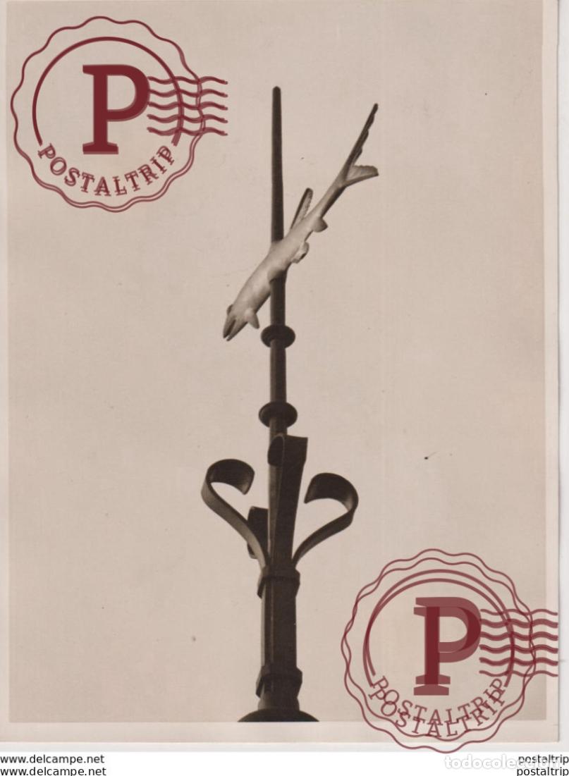 Alte Fotografie: LONDON WEATHERVANE CURIOSITIES FISH NATURAL HISTORY MUSEUM SOUTH KENSINGTON 20*15CM Fonds Victor F