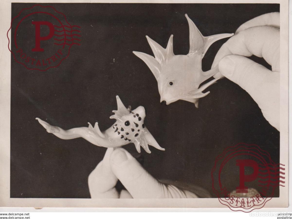 Alte Fotografie: FISH MADE OF GLASS HAND DRAWN GLASS BROOK STREET GALLERY 16*12CM Fonds Victor FORBIN 1864-1947