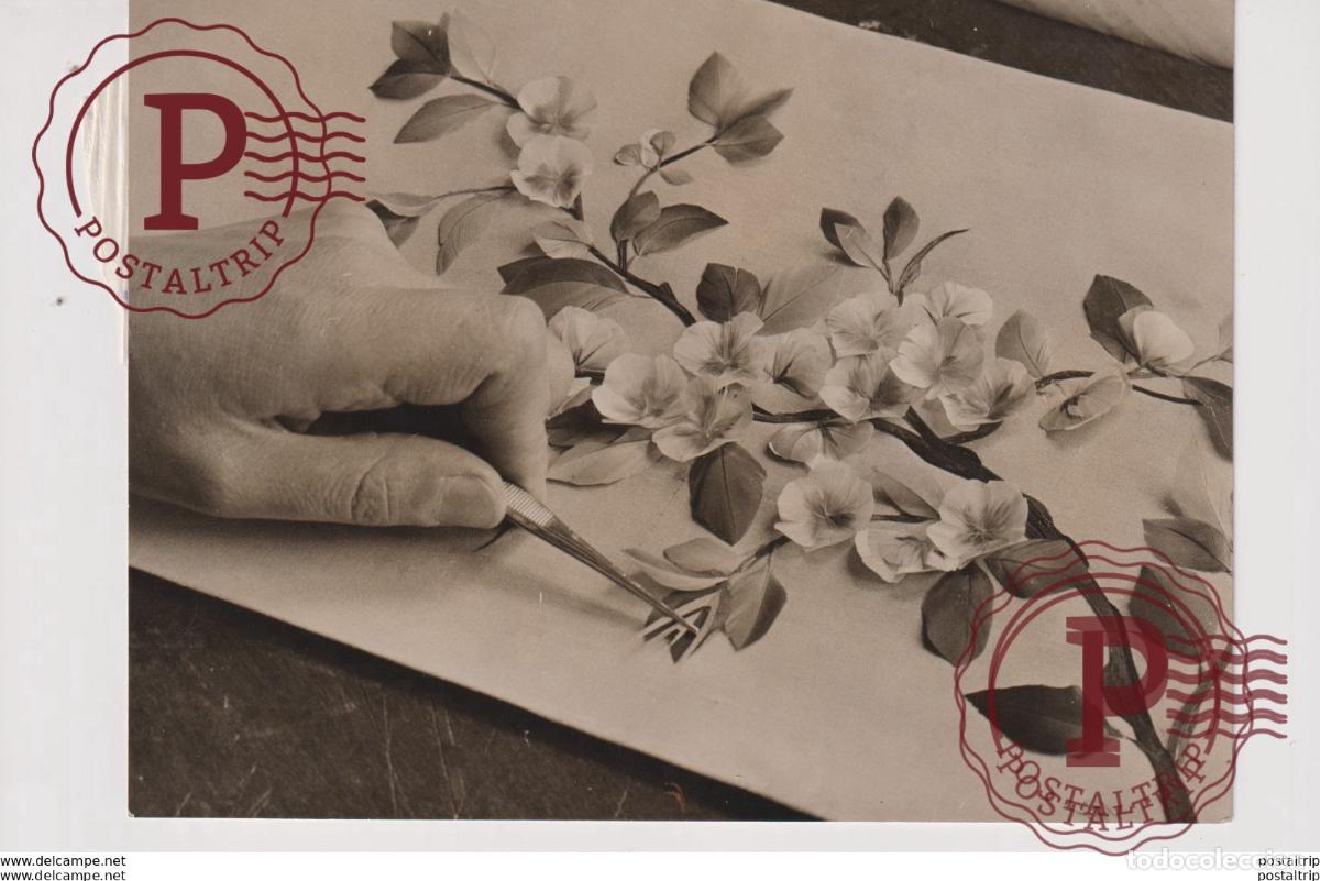 Alte Fotografie: FEATHERS WOMEN SKILL INTERESTED THE QUEEN EARLS COURT ESSEX LONDON EXHIBITION 18*13CM&nbsp; Fonds Victo