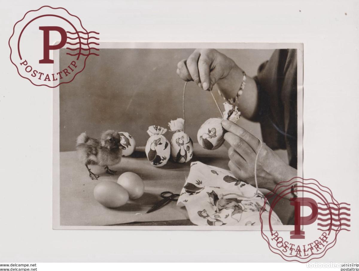 Fotograf&iacute;a antigua: PRETTY EGGS FOR EASTER 20*15CM&nbsp; Fonds Victor FORBIN 1864-1947